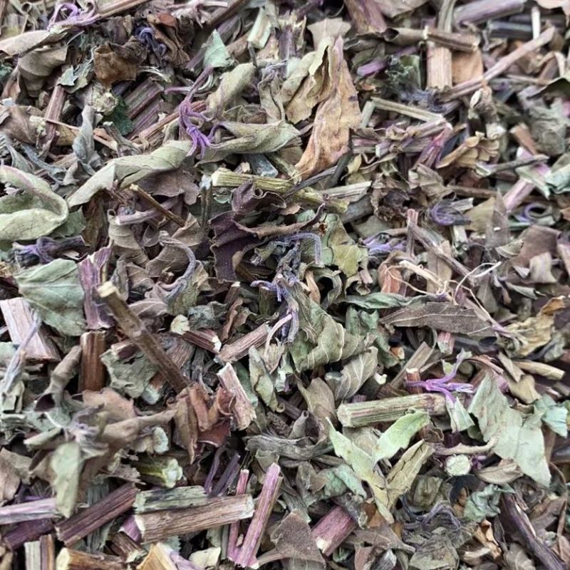 猫须草茶新鲜晒干猫须新鲜干货