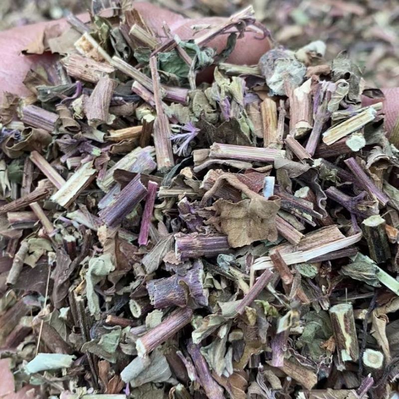 猫须草茶新鲜晒干猫须新鲜干货