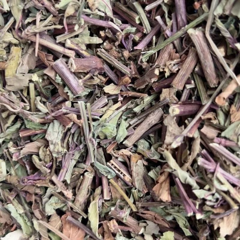 猫须草茶新鲜晒干猫须新鲜干货