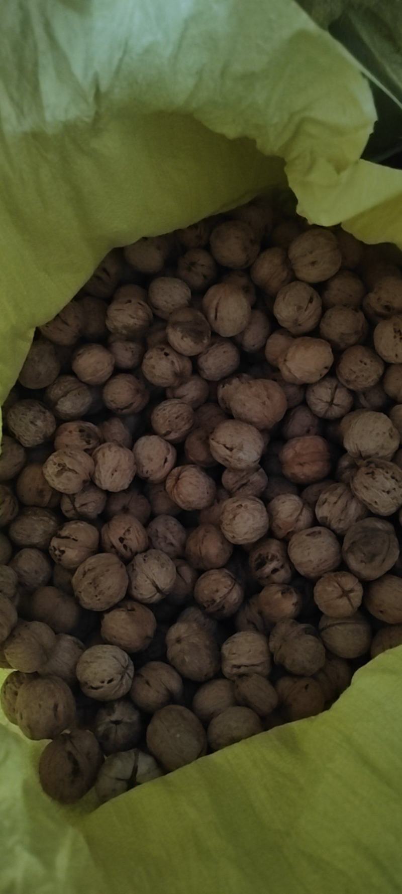 涉县核桃