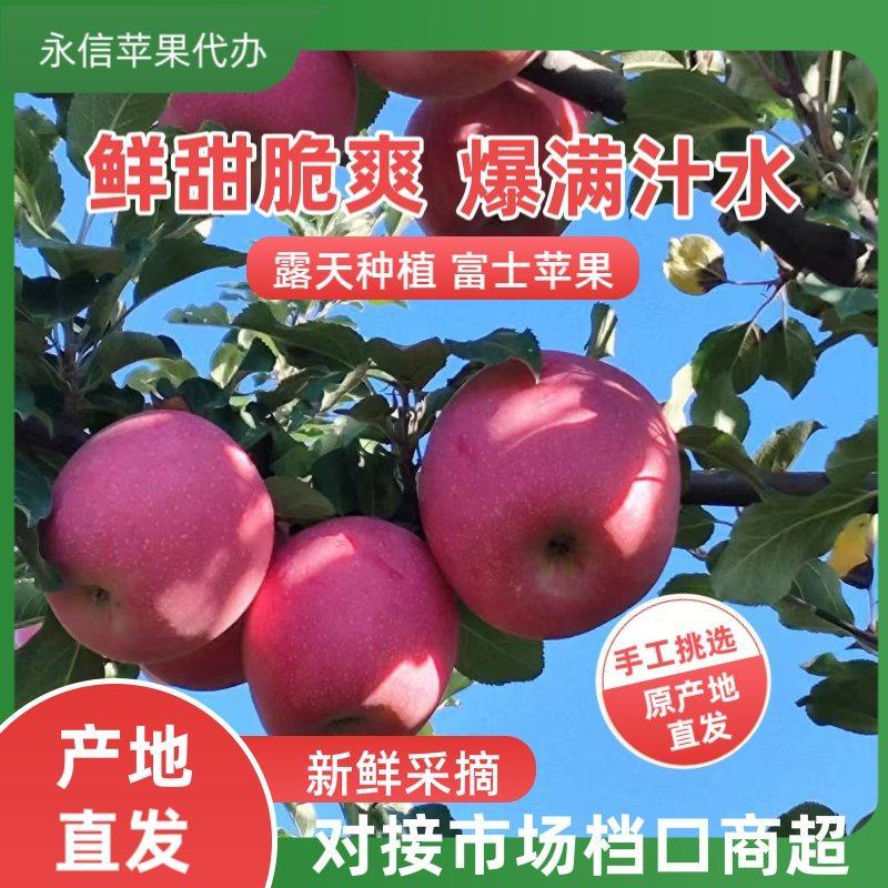 高山套袋红富士大量供应中全国发货对接市场档口量大从优