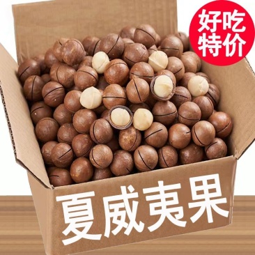 抖音快手各大电商一件代发新货夏威夷果袋装奶油味薄皮坚果炒货