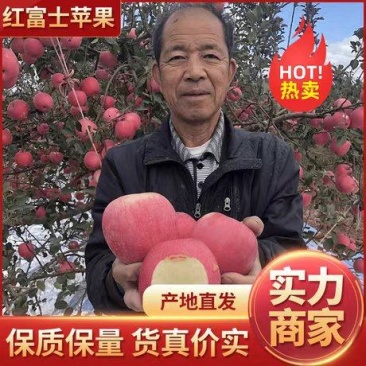 山东红富士苹果，红富士苹果批发价格行情，山东红富士苹果