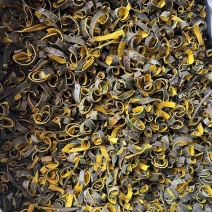 黄柏中药材批发新货无硫川黄柏片关黄柏树皮泡茶泡水