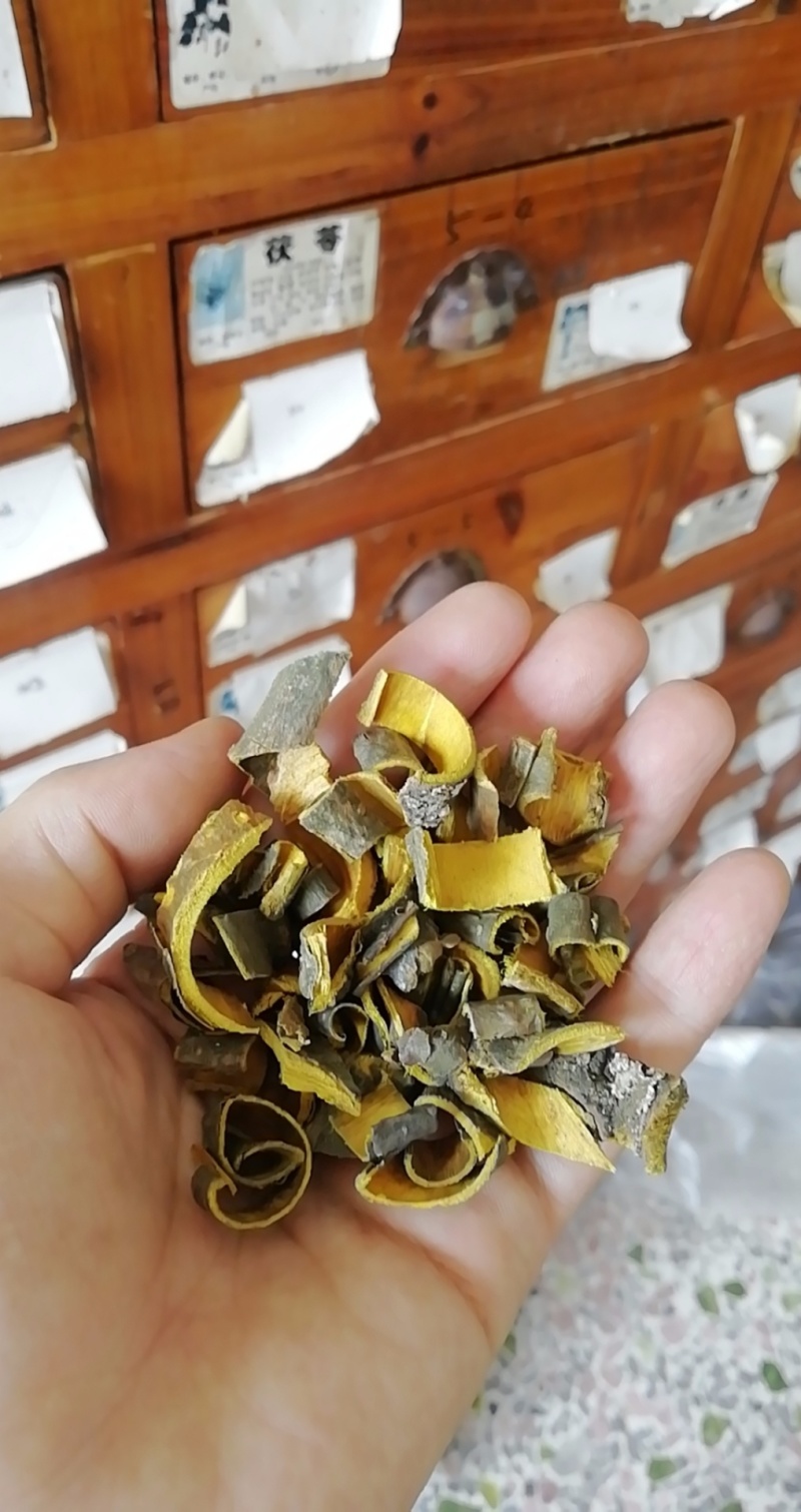 黄柏中药材批发新货无硫川黄柏片关黄柏树皮泡茶泡水