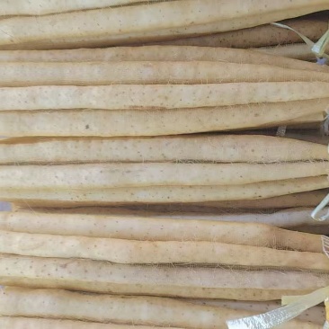 水洗精品双棒2路