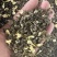 广西茉莉花茶叶2025新茶横县曲螺银螺浓香型茶叶散装批发