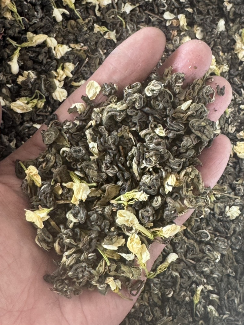 广西茉莉花茶叶2025新茶横县曲螺银螺浓香型茶叶散装批发