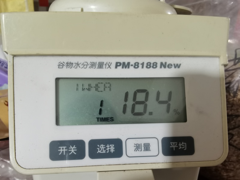 芽麦水分18.4-20%直接出，能接的联系容重759