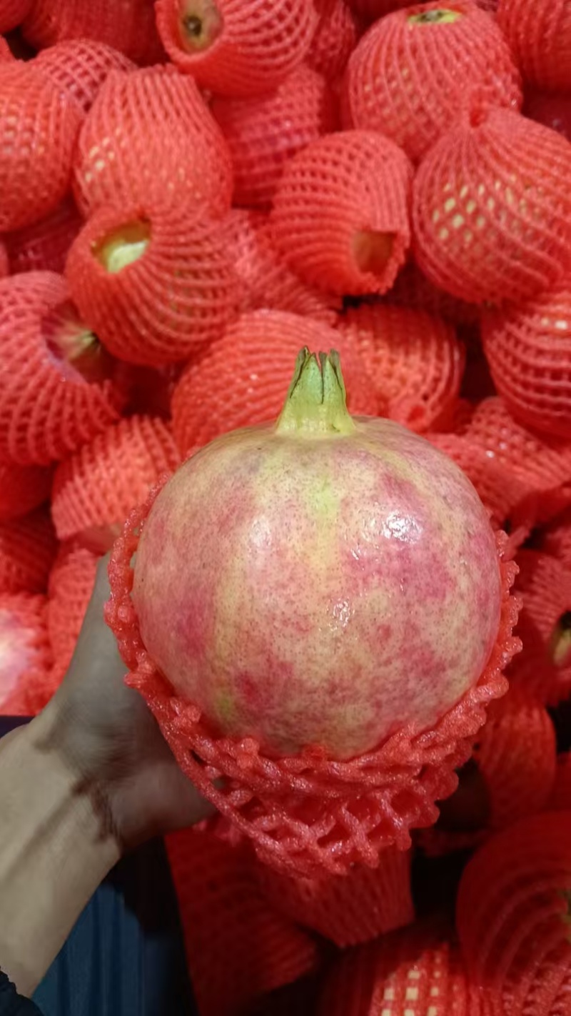 中秋节礼盒包装