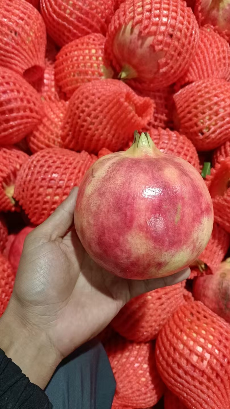 中秋节礼盒包装