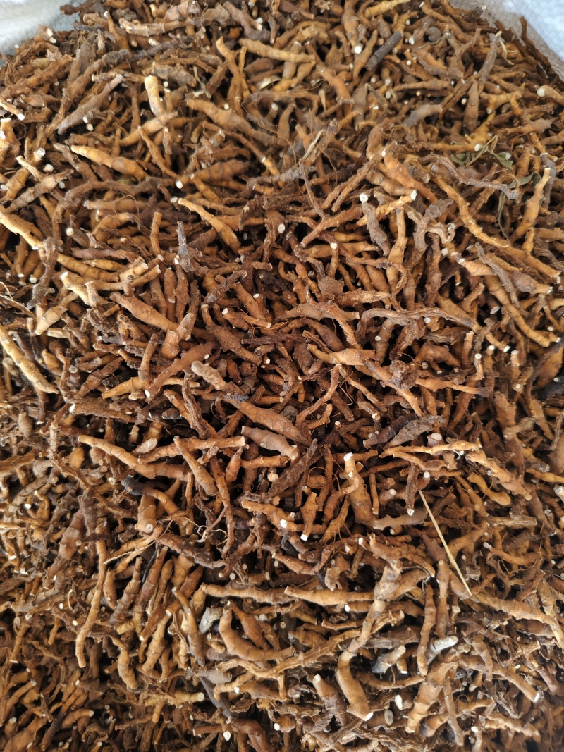 九节菖蒲水洗无杂质九节菖蒲批发零售