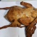 【熟食鸡爪】电商爆品，人参卤大鹅
