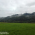 马尼拉草皮贵阳基地