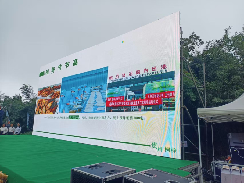 竹笋新鲜竹笋贵州方竹笋大量上市，产地直发，可视频看货