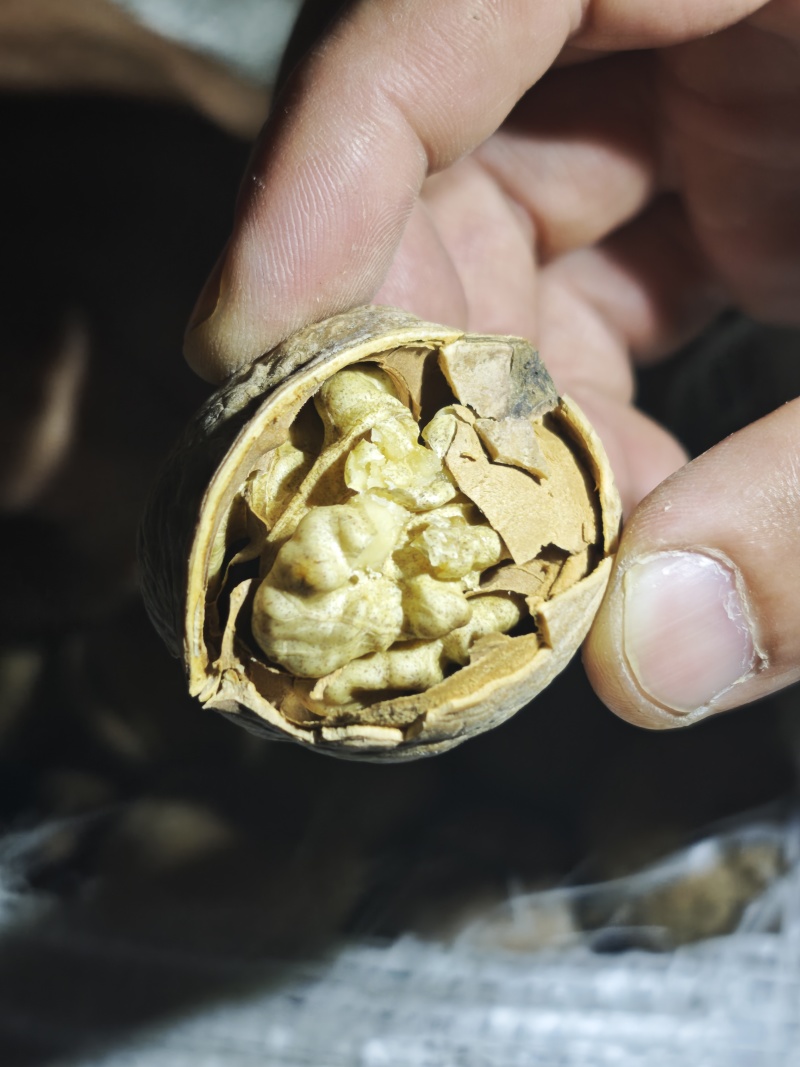 阿克苏温185核桃
