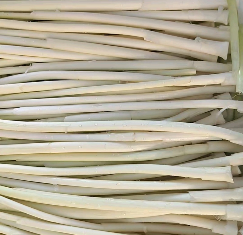 蒲菜