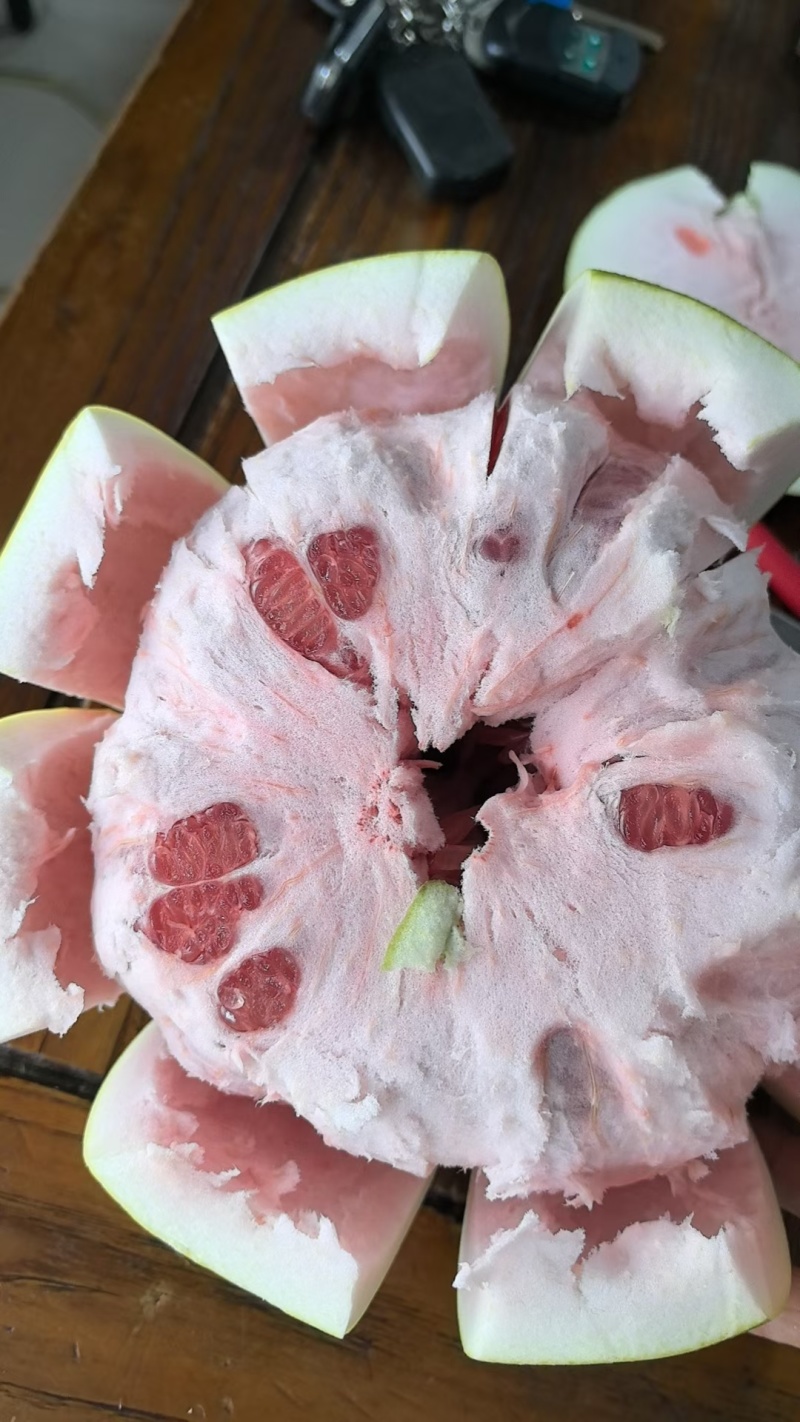 长泰高山蜜柚