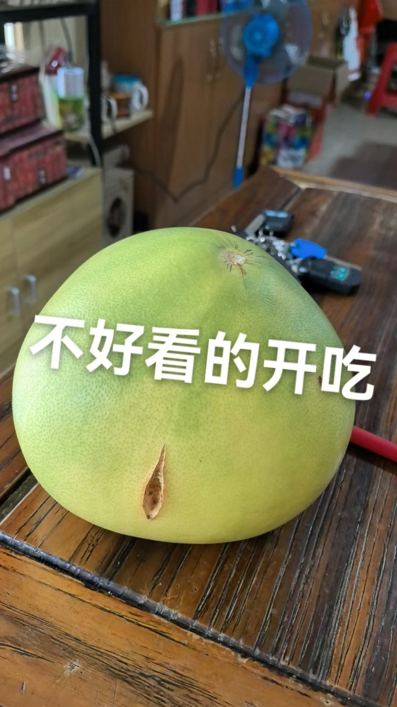 长泰高山蜜柚