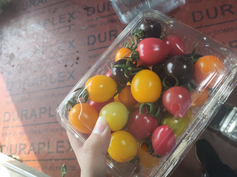 各色圣女果小番茄