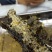 【保真假一赔十】土蜂蜜百花蜜自家蜂厂自产自销