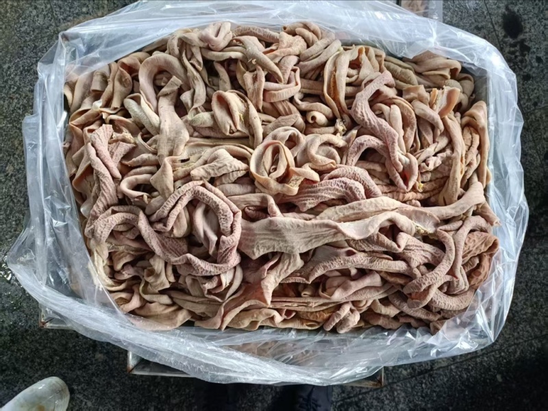 牛大肠牛小肠新鲜现货，产地直发品质保证，量大从优！