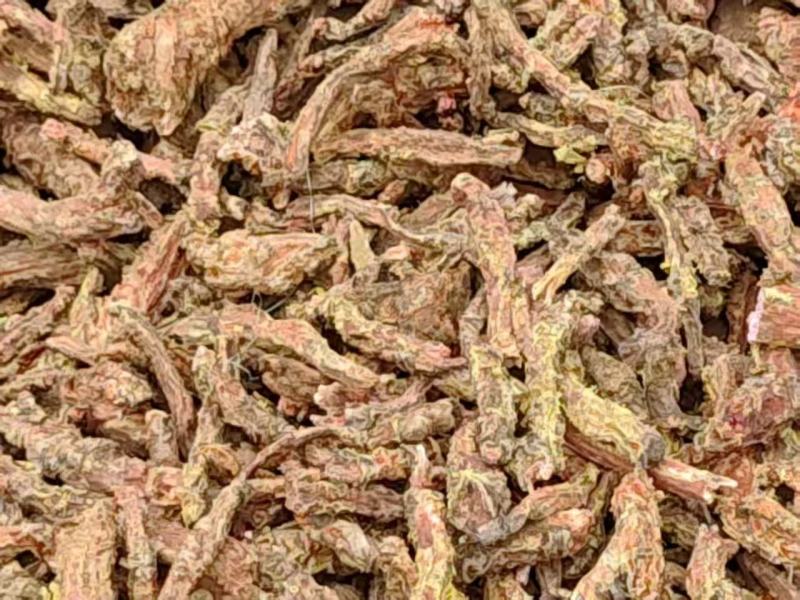 大花红景天新鲜野生的含量百分百达标保证