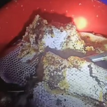 自家粉条