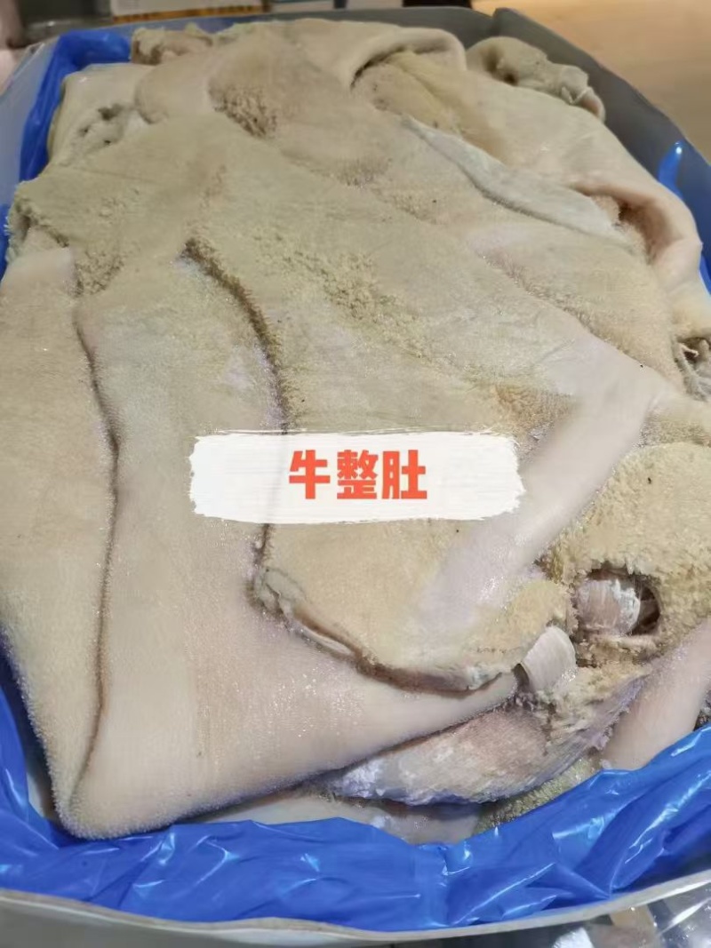 牛肚，新鲜现货，产地直发品质保证，量大从优！