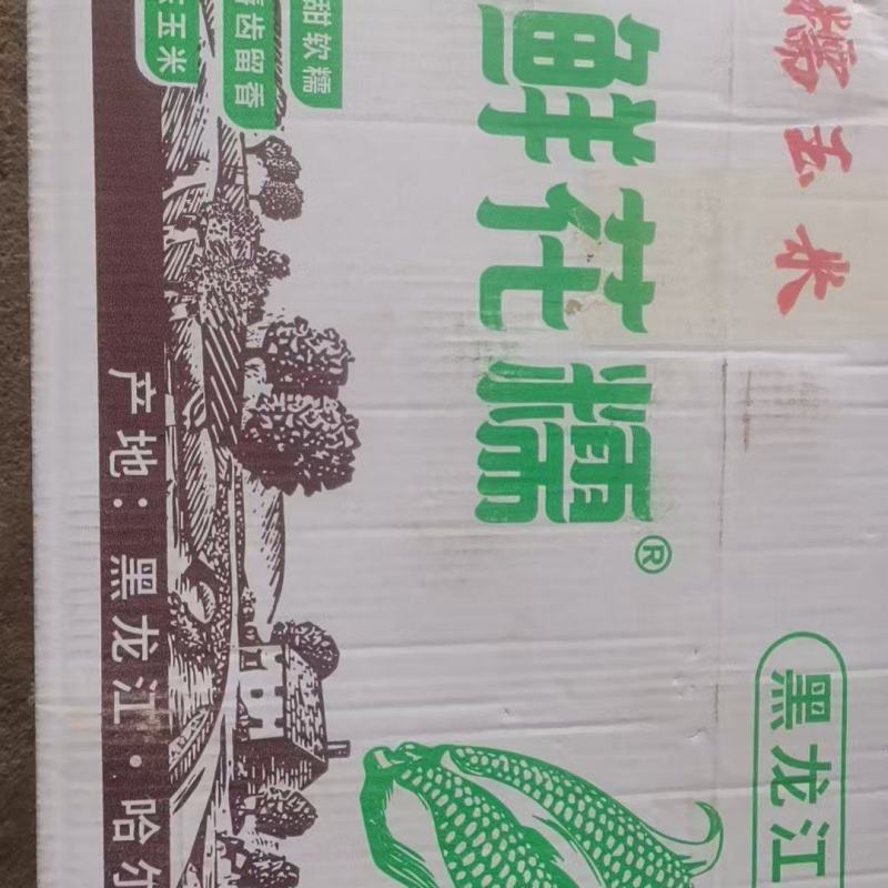 东北冰糖糯玉米，