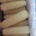 东北冰糖糯玉米，