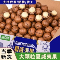 云南夏威夷果牛奶味奶香浓郁品质保证源头工厂批发