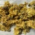 黄蜀葵花精选货货源充足零售批发包邮