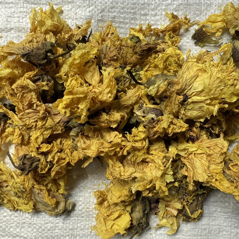 黄蜀葵花精选货货源充足零售批发包邮