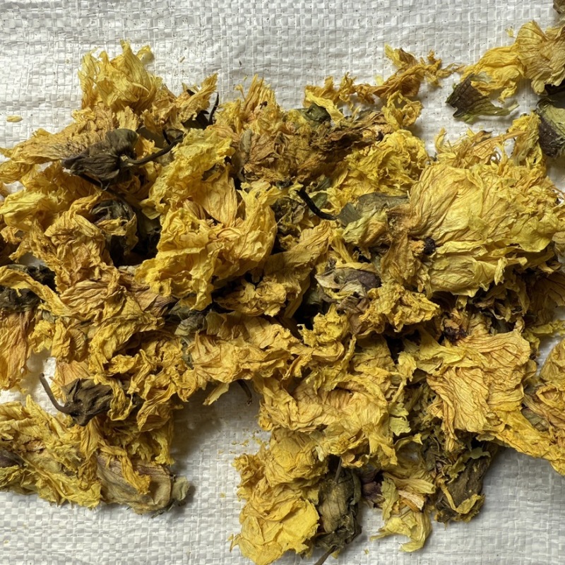 黄蜀葵花精选货货源充足零售批发包邮
