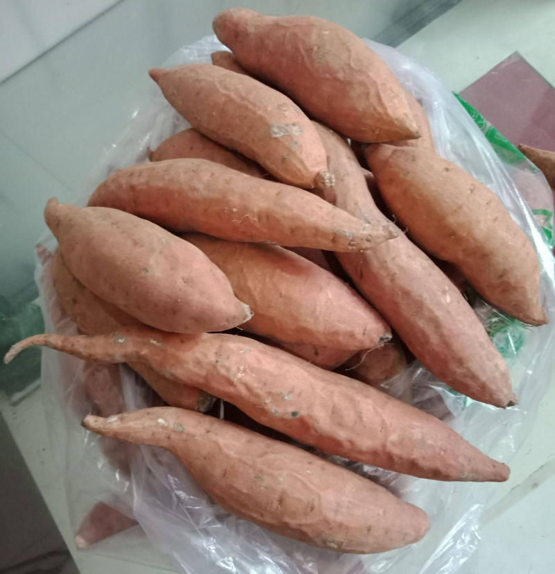 《精选》唐山烟薯红薯/商品薯烤薯加工薯/产地代发全国