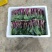 红菜苔湖北菜苔大量供应可视频看货欢迎来电采购