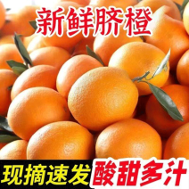【代发全国】江西纽荷尔脐橙产地直供规格齐全欢迎来电