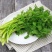 香菜精品大叶香菜对接各大市场商超电商加工厂品质保证欢