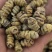 品味铁皮石斛枫斗，感受大自然的馈赠，独特的植物精华让你与