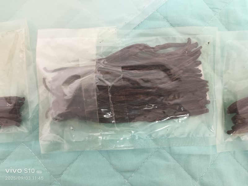 马达加斯加烘干香草荚1-5级都有