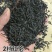 福建武夷山小种红茶茶叶新茶大红袍高火香散装批发奶茶原料