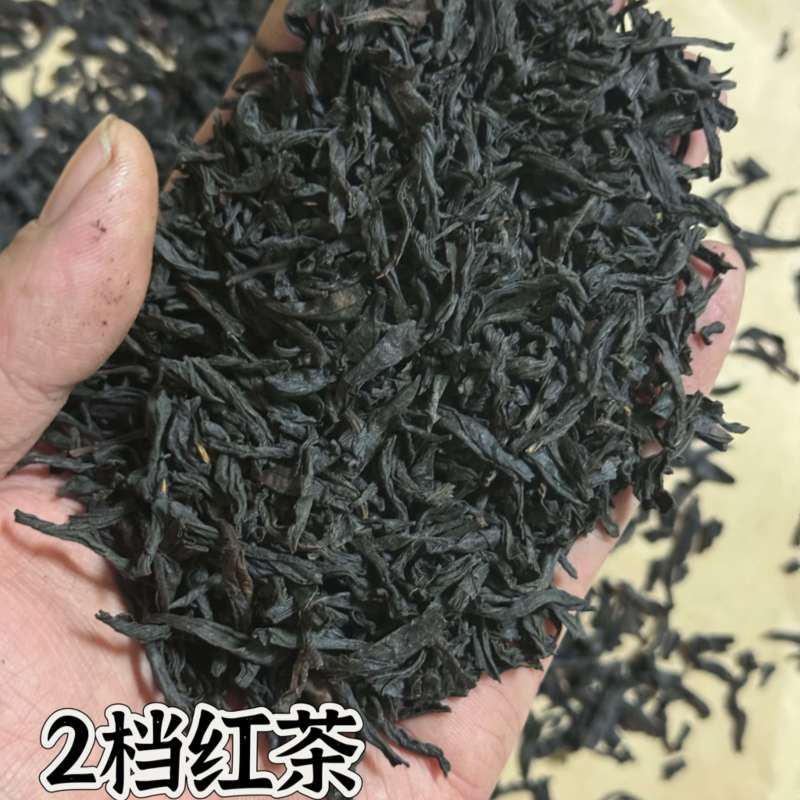 福建武夷山小种红茶茶叶新茶大红袍高火香散装批发奶茶原料