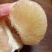 福建度尾红心文旦柚