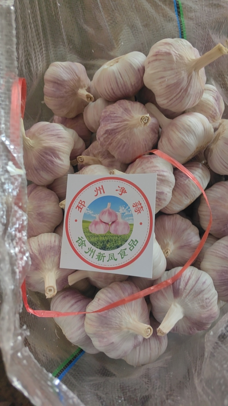 邳州净蒜