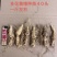 多花黄精种苗货源充足量大从优质量保证欢迎咨询