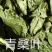 桑叶两个规格需要的老板直接下单就可以