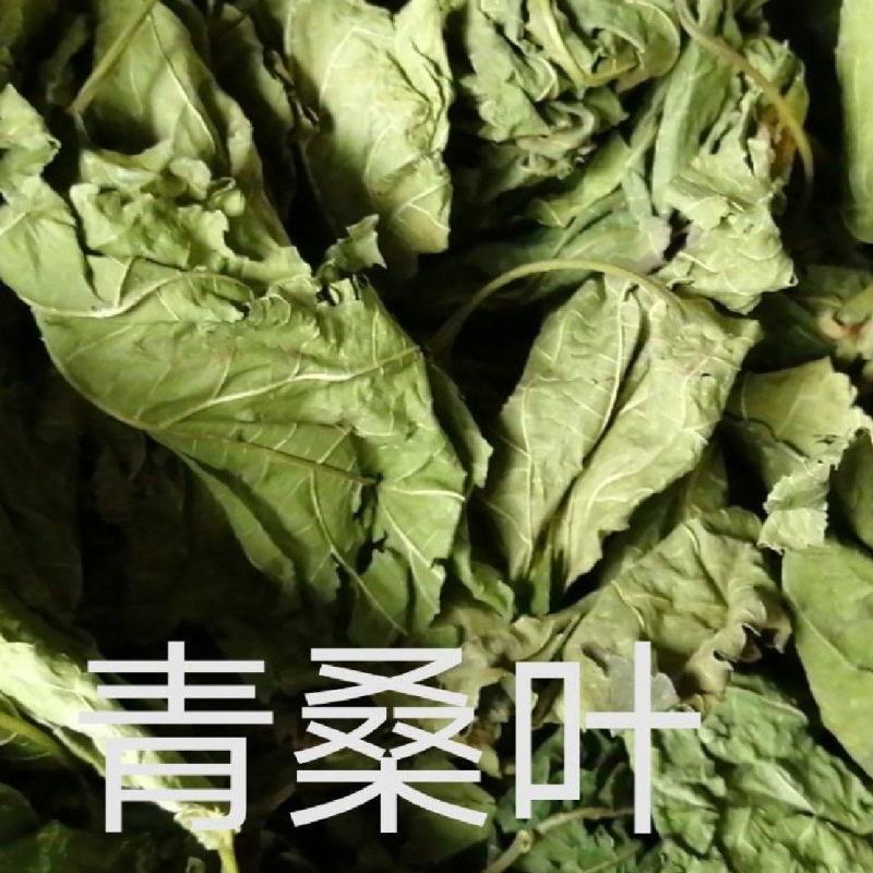 桑叶两个规格需要的老板直接下单就可以