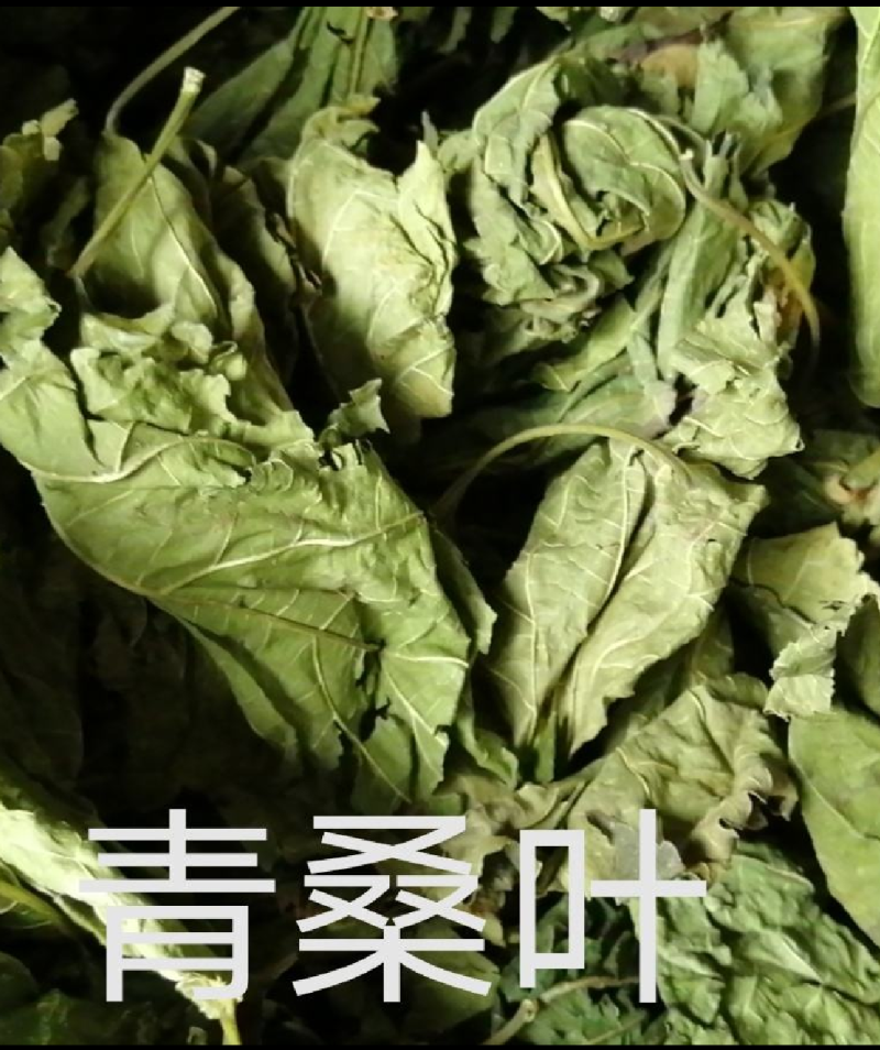 桑叶两个规格需要的老板直接下单就可以