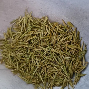 自家茶叶——黄金芽。量多可优惠！随时可发货！